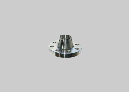 304 SS Weld Neck Flanges