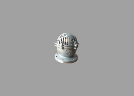 ASTM A351 CF8 SS Lap Joint Flanges