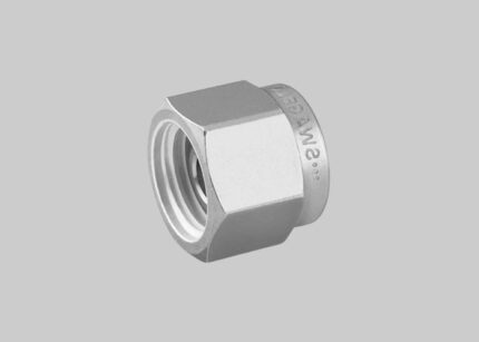 SS 2507 Cap Fitting