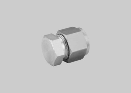 SS 316 Cap Fitting