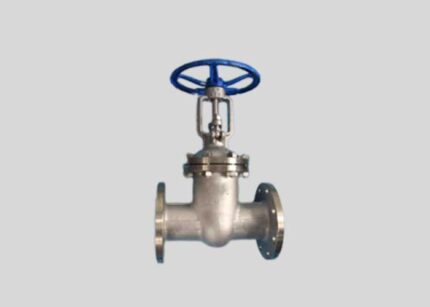 304L Stainless Steel Gate Valve