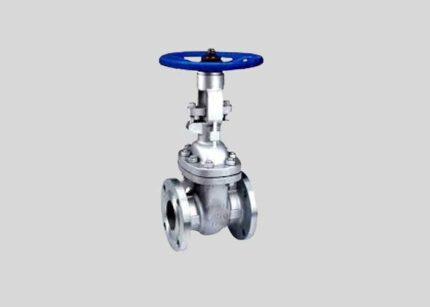 316 Stainless Steel Gate Valve