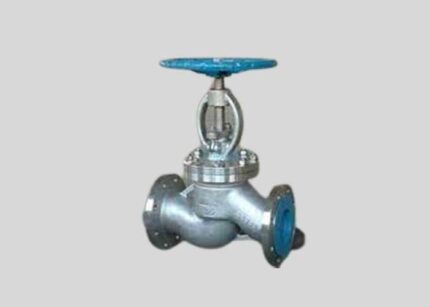 316 Stainless Steel Globe Valve