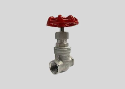 316L Stainless Steel Gate Valve