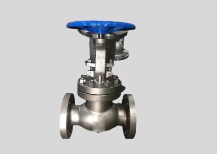 316L Stainless Steel Globe Valve