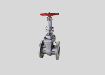 317 Stainless Steel Gate Valve