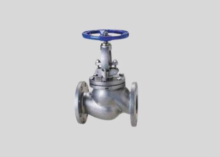 317L Stainless Steel Globe Valve