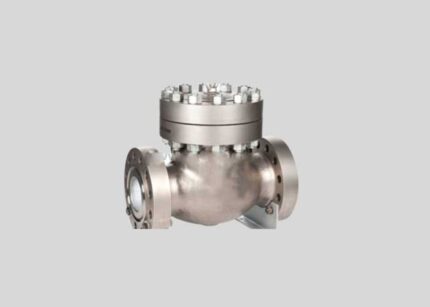 Super Duplex 2507 Stainless Steel Check Valve
