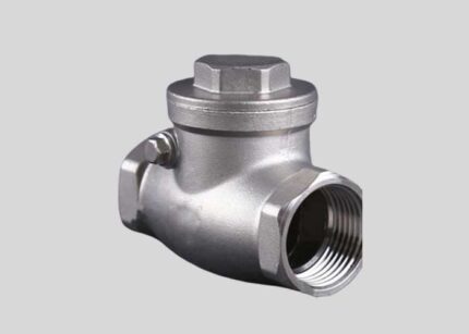 Duplex 2205 Stainless Steel Check Valve