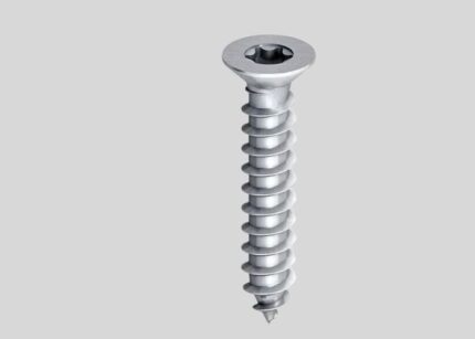 304 Stainless Steel Screw