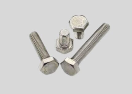 316 Stainless Steel Screw