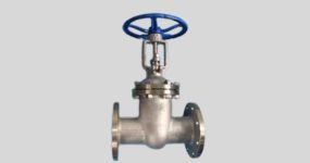 304L-Stainless-Steel-Gate-Valve