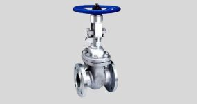 316-Stainless-Steel-Gate-Valve