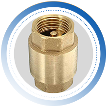 Check-Valve-!