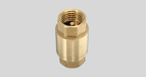 Check-Valve-3