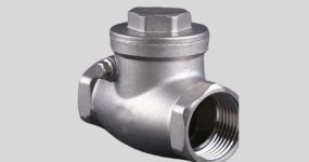 Super-Duplex-2507-Stainless-Steel-Check-Valve